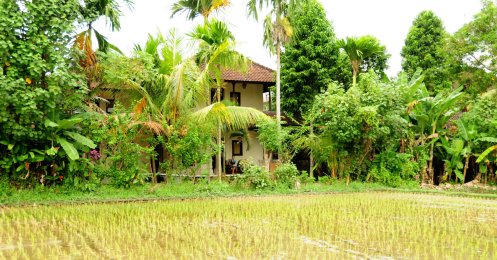 Our home in Ubud