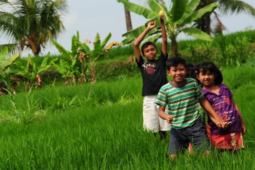Children playing in the rice fields